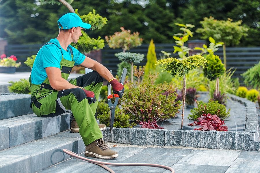 professional commercial lawn & landscaping services in Wichita